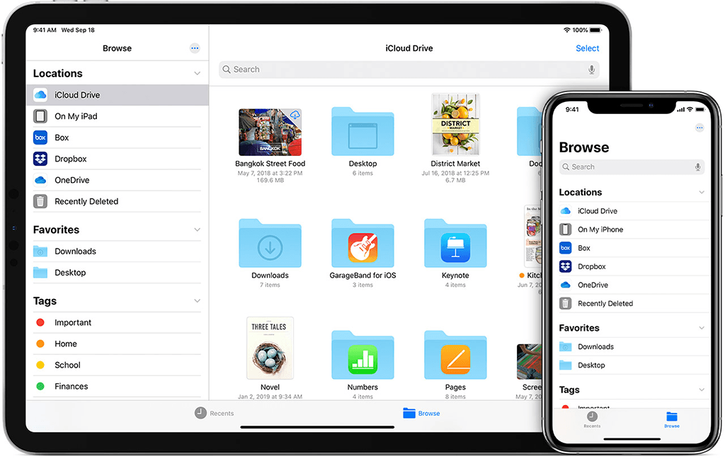 The Files app for iOS and iPadOS.