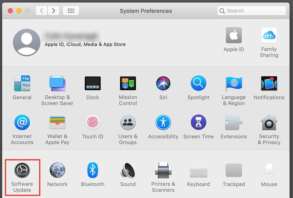 Software Update settings are accessed via System Preferences.