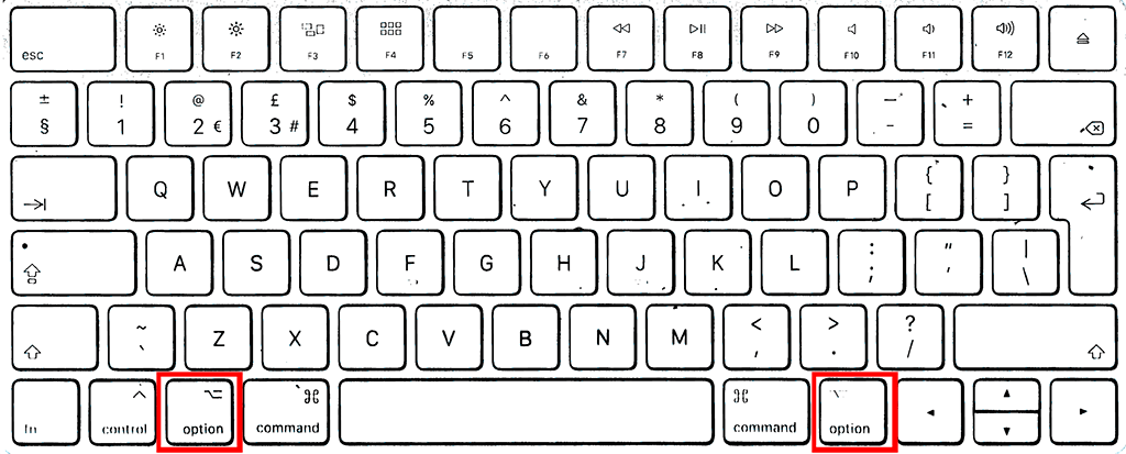 The Option key on the keyboard.  Sometimes referred to as the Alt key. 